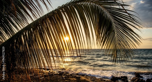 Golden sunlight illuminatin...