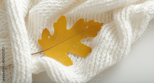 Yellow oak leaf atop white ...