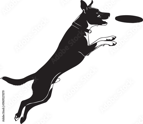 Athletic dog leaps high in the air to catch a frisbee in mid-flight against a clean white background.