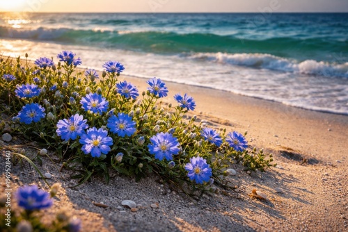 Blue wildflowers blooming o...