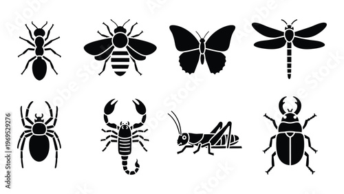 A collection of various insect and arachnid silhouettes including bees spiders and dragonflies in a stark black presentation high quality professional