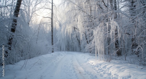 Winter forest scene with cr...