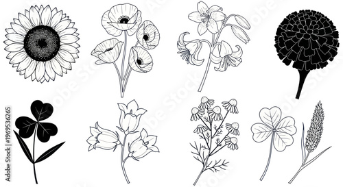 Black and white flower illustrations set.