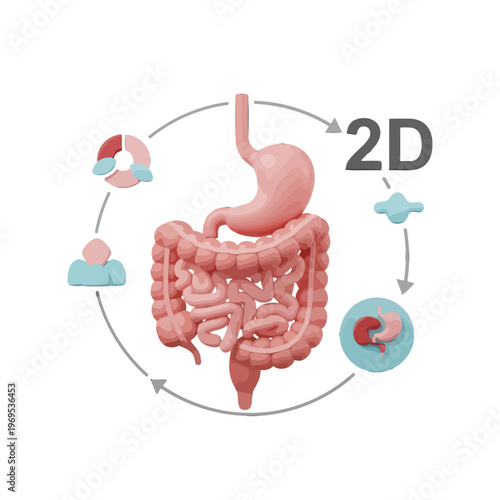 Digestive system diagram with circular process and icons