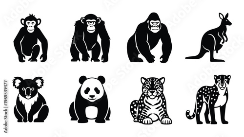 A collection of eight different animal silhouettes including a gorilla kangaroo koala and panda presented in black high quality professional detailed