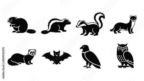 A collection of diverse animal silhouettes including mustelids birds and a bat presented in a minimalist style silhouette high quality professional