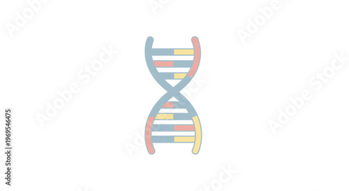 Colorful DNA Double Helix Structure Model.