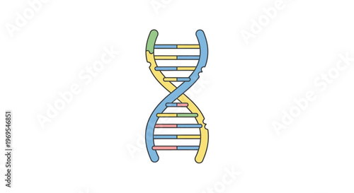 DNA Double Helix Structure Model.