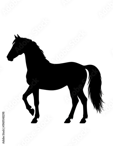 A black silhouette of a horse standing in profile. The animal has a flowing mane and tail, and one foreleg is raised