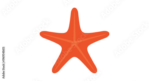 Orange Starfish Cartoon Illustration Simple Marine Ocean Animal Design
