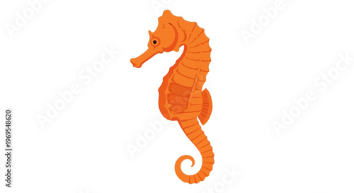 Orange Seahorse Cartoon Illustration Marine Ocean Animal Design