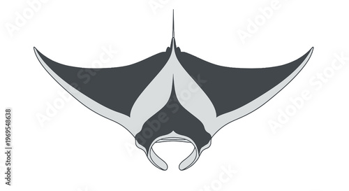 Manta Ray Front View Cartoon Illustration Graceful Marine Ocean Animal Design