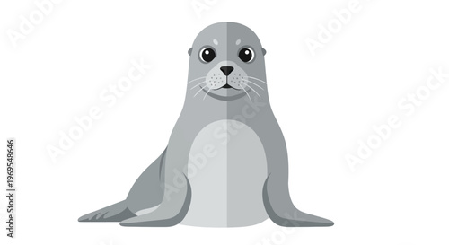 Cute Gray Seal Cartoon Illustration Sitting Marine Ocean Animal Design