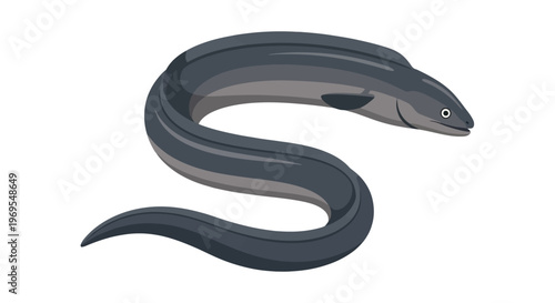 Eel Cartoon Illustration Curved Marine Ocean Fish Animal Design
