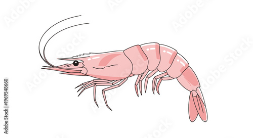 Pink Shrimp Cartoon Illustration Marine Seafood Ocean Animal Design
