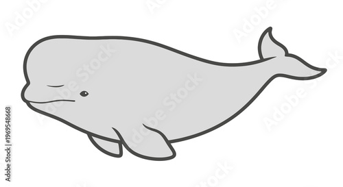 Cute Beluga Whale Cartoon Illustration Simple Marine Animal Ocean Design
