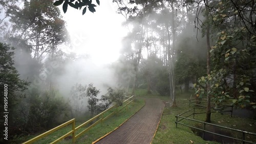 Wallpaper Mural Steam rising from a water source in a natural environment with dense trees, concept of geothermal activity and natural beauty. Torontodigital.ca