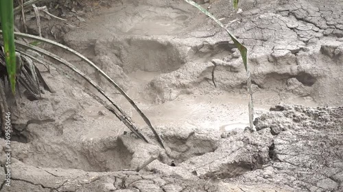 Wallpaper Mural Steam rising from a water source in a natural environment with dense trees, concept of geothermal activity and natural beauty. Torontodigital.ca