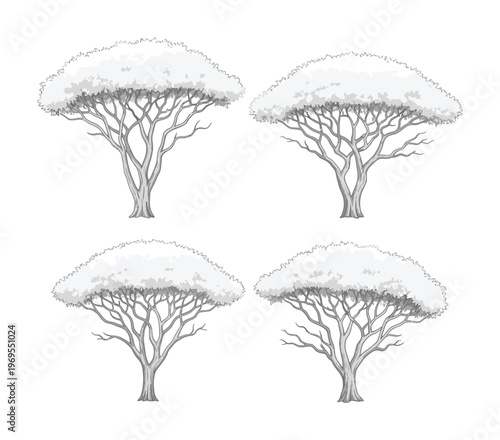 Vector showcasing four trees with intricate branches and leafy canopies arranged in symmetrical design.