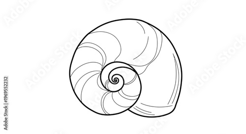 Nautilus Shell, Spiral Vector Illustration, Black and White Line Art, Minimalist Design