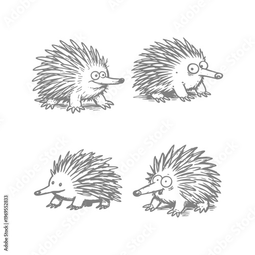 Bild auf Leinwand A set of hand-drawn cartoon echidnas in different poses
