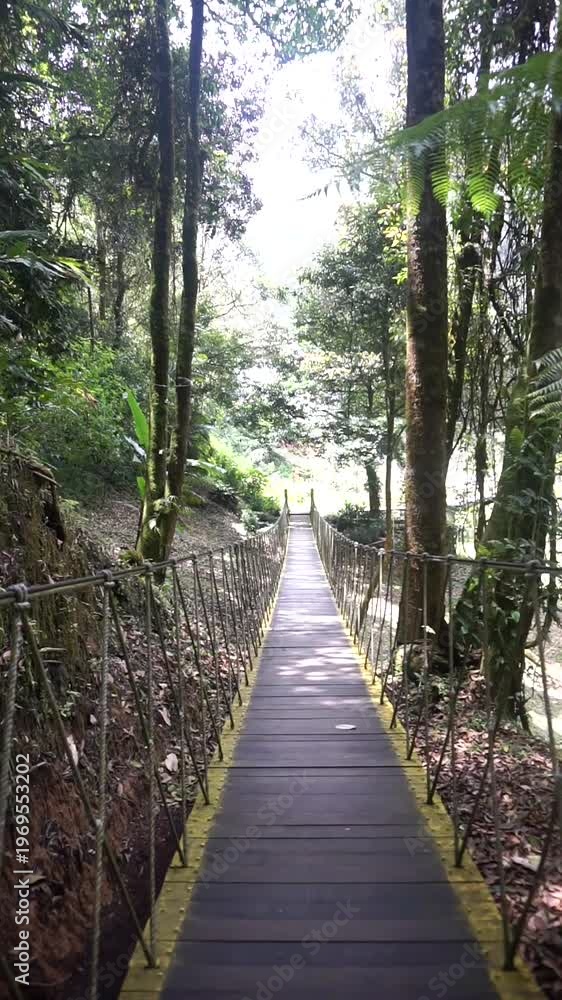 custom made wallpaper toronto digitalWalking on a wooden bridge with a yellow line in a green forest, creating a sense of adventure and natural tranquility.