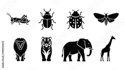 A collection of animal silhouettes including insects a lion tiger elephant and giraffe presented in stark contrast silhouette high quality professional