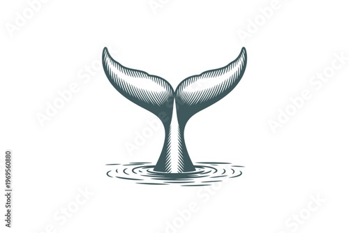 Green whale tail emerging from calm water with ripples ocean