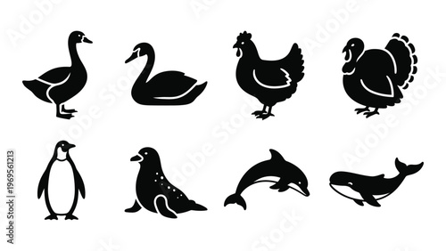 A collection of various bird and marine animal outlines in black creating a simple graphic design silhouette high quality professional detailed