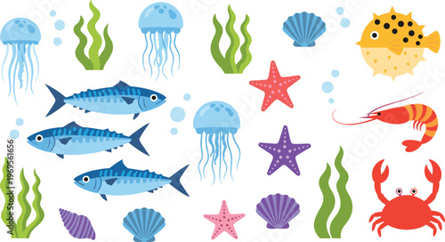 Colorful marine life collection with fish jellyfish crab shrimp starfish seaweed ocean animals cartoon vector illustration set