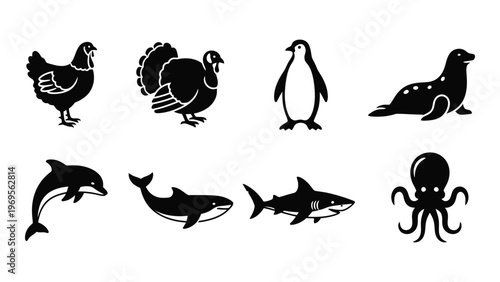 A collection of various black animal silhouettes including birds marine mammals and fish presented in a minimalist style silhouette high quality