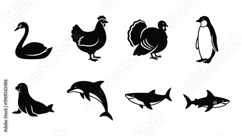 A collection of various bird and marine animal silhouettes including a swan penguin and shark silhouette high quality professional detailed modern