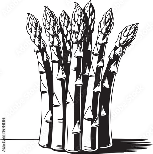 Fresh Asparagus Bunch Black art