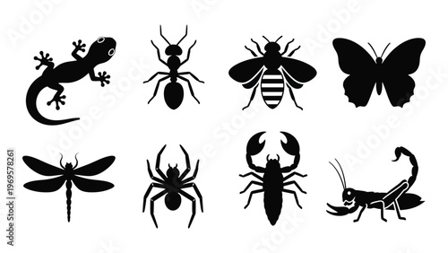A collection of black insect and reptile silhouettes including a lizard ant bee butterfly dragonfly and scorpion silhouette high quality professional