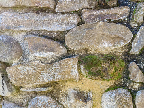 Moss covered stone old wall with lush green growth on textured surface. Rough processed stones of various shapes and sizes, with visible traces of environmental influences. Close-up
