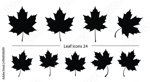 maple leaf silhouettes