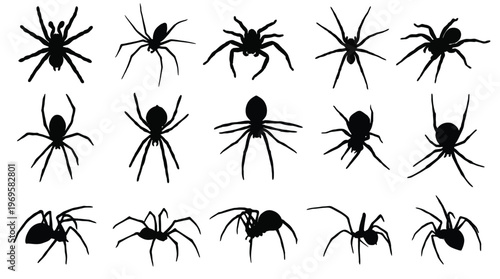 spider silhouettes