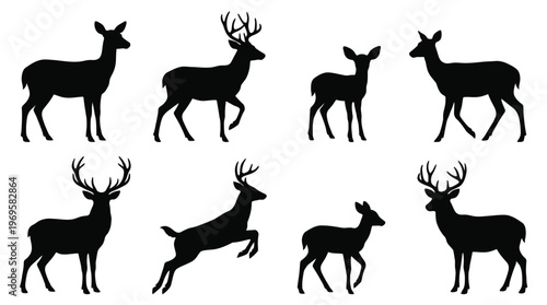 roe deer silhouettes