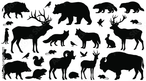 forest_animal_silhouettes