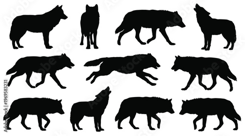 wolf silhouettes 2026