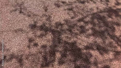 산책로를 걷는 발걸음