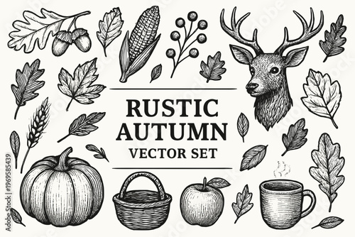 Set with rustic autumn harvest collection for branding. Suitable for farm, food, seasonal, or agricultural businesses.