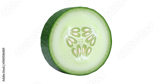 Cross-section of a fresh cucumber with visible seeds