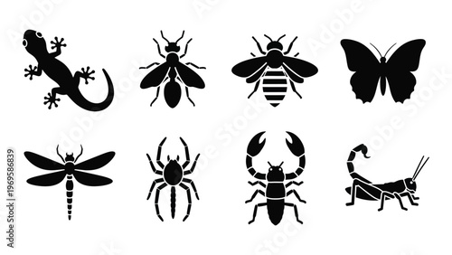 A collection of black insect and reptile silhouettes including a lizard bees butterfly and scorpion silhouette high quality professional detailed modern