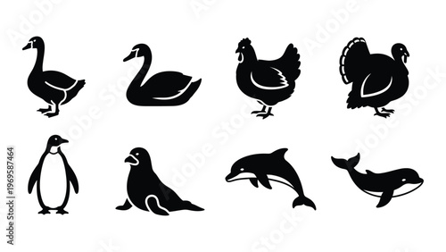 A collection of various bird and marine animal silhouettes in a minimalist style showcasing diverse species silhouette high quality professional detailed