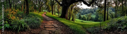 Pathway leads through a forest in early morning light