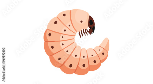 Detailed illustration of a thick curved larva or grub featuring segments and dark spots on a white background for entomology concepts.