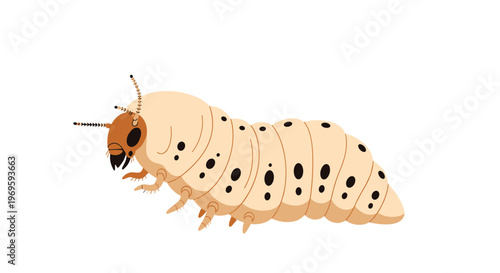 Detailed illustration of a large beetle larva or grub with a cream body and dark spots shown from a side perspective.