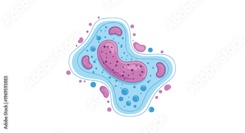 Colorful illustration of a single-celled organism or amoeba featuring a pink nucleus and various organelles in blue fluid.