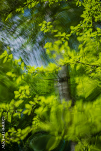 Swirling emerald leaves dance gracefully beneath a bright blue sky in a serene forest scene